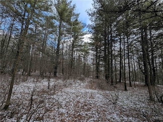 0 Angel Rd Unit S1581718, Cameron, NY 14819