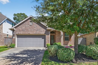 146 Kinnerly Peak Place, Montgomery, TX 77316