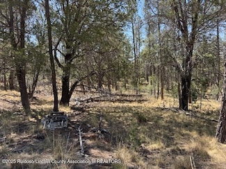 Lot 12 Drury Ln, Timberon, NM 88350