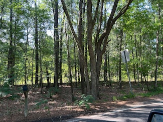 1 Martin St, Ravenel, SC 29470