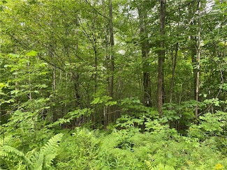 Near County Rd W, Loretta, WI 54896