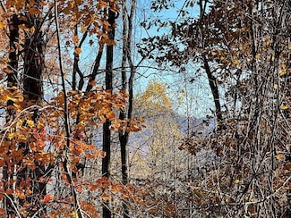 36C Indian Trail, Hayesville, NC 28904
