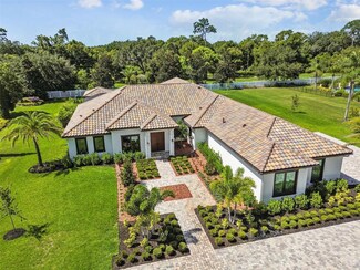 8606 Dolce Vita Ln, Odessa, FL 33556