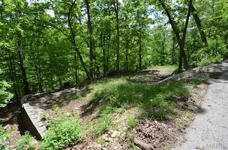 1730 Chimney Top Farms Rd, Wildwood, MO 63038