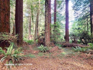 00 Sleepy Hollow Rd, Crescent City, CA 95531
