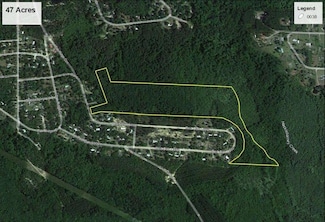 47 +/- Acres Live Oak Ln, Blackshear, GA 31516