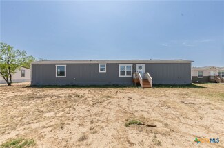 181 Viridian View, Pleasanton, TX 78064