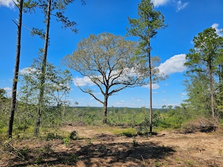 0 County Road 217, Ariton, AL 36311