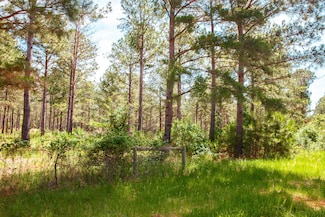 7185 Bill Dorn Rd, Appling, GA 30802