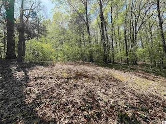 625 Country Hills Dr Unit Lot 16 Dryden Bay Su, Eddyville, KY 42038