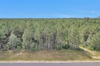 11976 High Branch Way, Willis, TX 77378