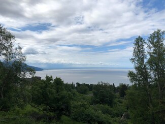 L4 B2 Potter Valley Rd, Anchorage, AK 99516