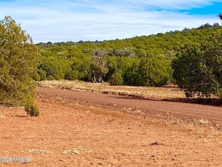 TBD Cr 8271 Lot 10 --, Concho, AZ 85924