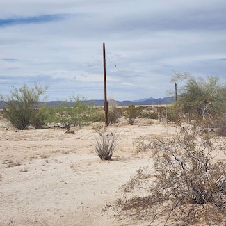 28222 E Cecil Cir, Wellton, AZ 85356