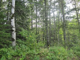 Lot 13 Fuller Rd, Easton, ME 04740