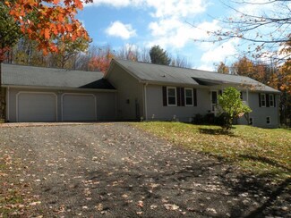 100 Monkey Run Rd, Port Crane, NY 13833