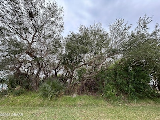 0 River Rd Unit 1209026, New Smyrna Beach, FL 32169