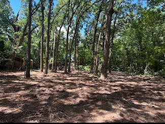 104 Red Bluff Loop, Mabank, TX 75156