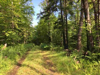 0 Hampshire Hill Rd, Worcester, VT 05682