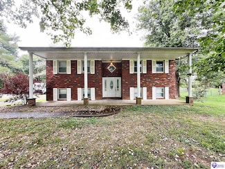 115 Joy K Lynn St, Cecilia, KY 42724