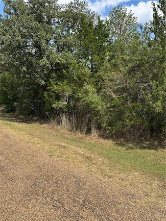 TBD Woodvine Ln, Somerville, TX 77879