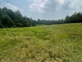 3246 County Road 92, Rogersville, AL 35652