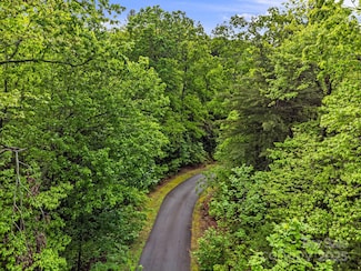 TBD Old Chestnut Ln, Etowah, NC 28739