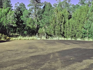 1526 Foxtail Ln Unit 1, Heber, AZ 85928