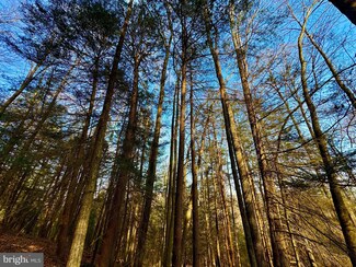 Lot 30 Wild Flower Way, Albright, WV 26519
