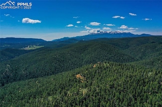29545 N Highway 67, Woodland Park, CO 80863