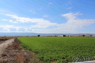 1339 Q Rd, Loma, CO 81524