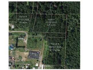 0 541st St E Unit 1956619, Elbe, WA 98330