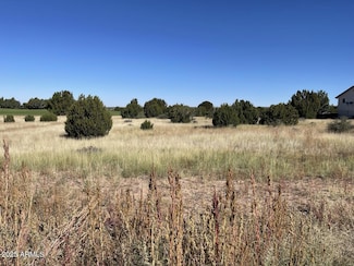 1951 Creekside Cir Unit 77, Show Low, AZ 85901