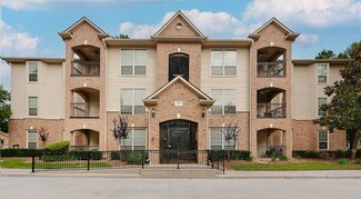 6607 Lake Woodlands Dr Unit 314, the Woodlands, TX 77382