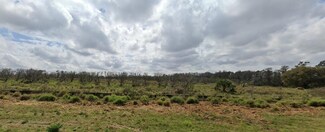 15781 Tollington Alley, Oakland, FL 34787
