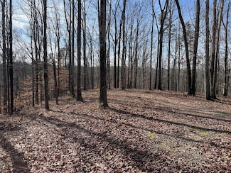 0 Hwy 171 Unit 22496065, Northport, AL 35475
