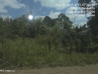 1904 Willaneel Dr, Jackson, MS 39204