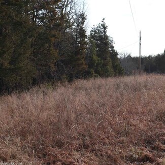 TBD Cr 63, Norfork, AR 72658