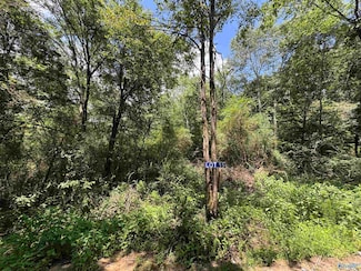 15 Hogs Ln, Albertville, AL 35951