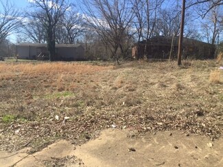 9 Covington St, Stanton, TN 38069