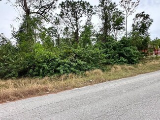 2401/2403 Herb Ave S, Lehigh Acres, FL 33973