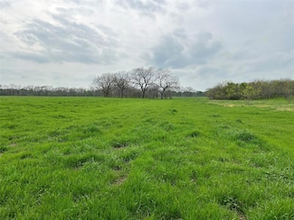 TBD Fm 2071, Gainesville, TX 76240