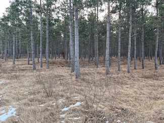 57.71 AC County Line Rd, Nekoosa, WI 54457