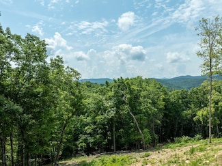 Lt175 Southern Cross Ct, Blue Ridge, GA 30513