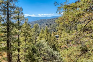 0 Elsie Rd, Richmond Hill Corridor, CO 80433