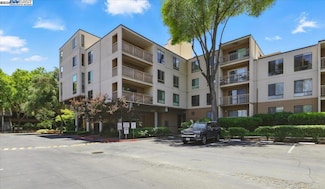 470 N Civic Dr Unit 204, Walnut Creek, CA 94596