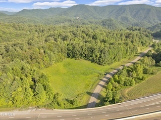 . Clear Branch Rd, Erwin, TN 37650
