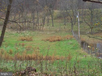 0 Frosty Hollow Rd Unit 1003251014, Fisher, WV 26818