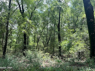 Lot 23 Remington Place, Bonifay, FL 32425
