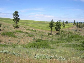 35350 Arm View Ln N, Creston, WA 99117